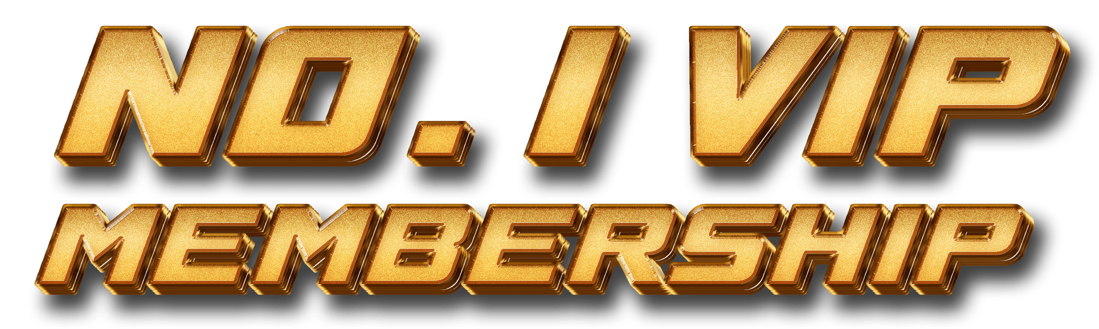 NO. 1 VIP MEMBERSHIP