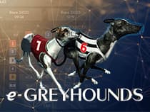 greyhound