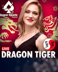 Dragon Tiger 2