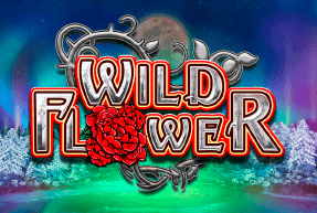 Wild Flower
