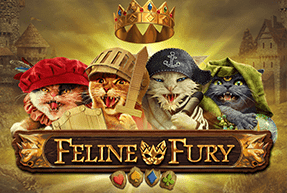 Feline Fury