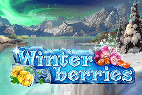 Winterberries