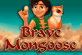 Brave Mongoose