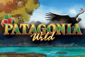 Patagonia Wilds Mobile
