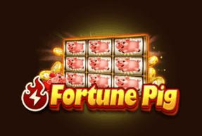 FortunePig